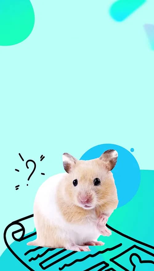 Портрет человека