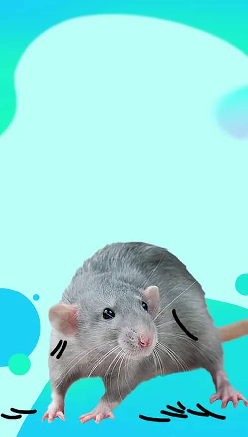 Портрет человека