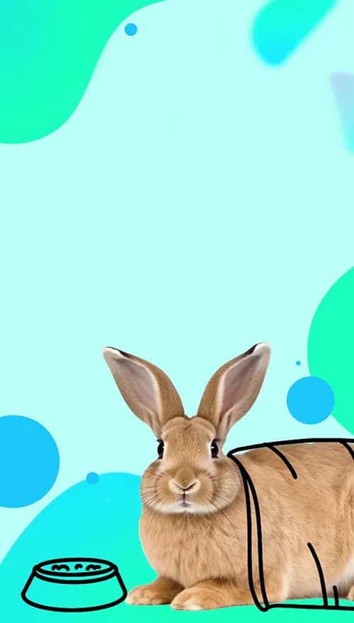 Портрет человека