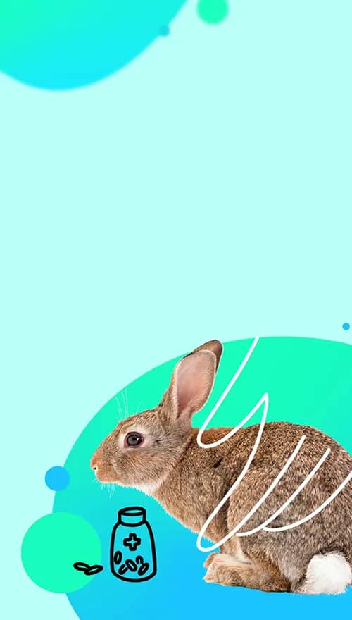 Портрет человека