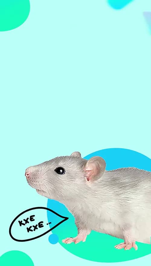 Портрет человека