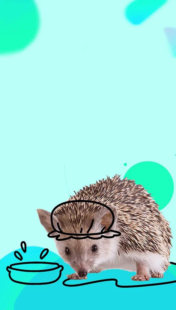 Портрет человека