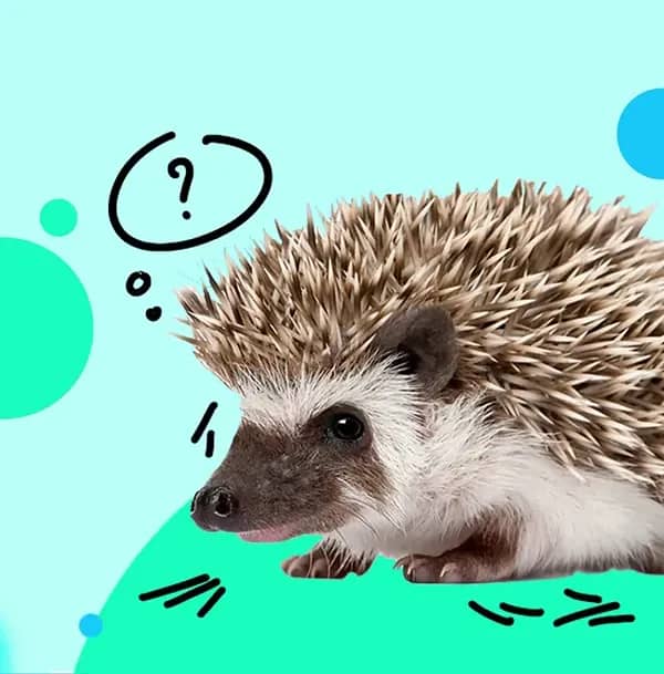 Портрет человека