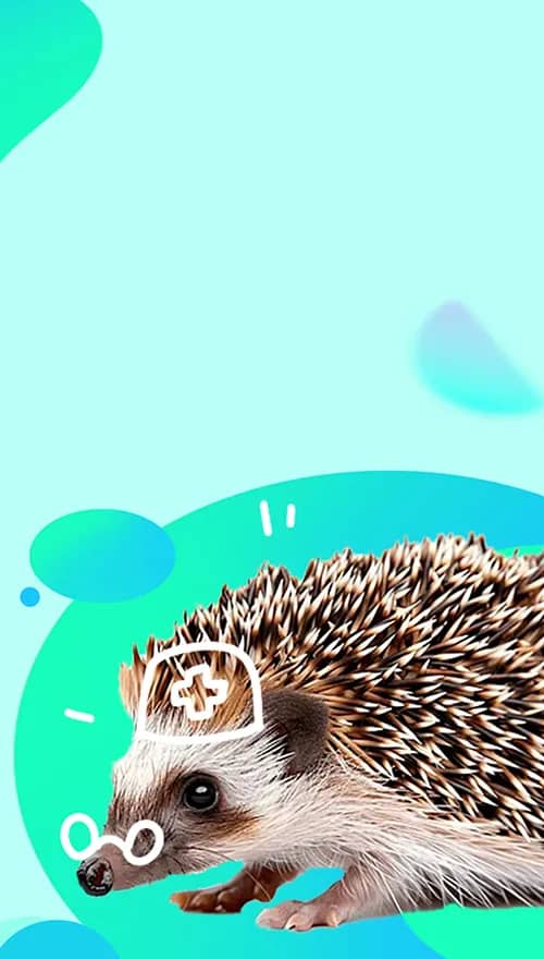 Портрет человека