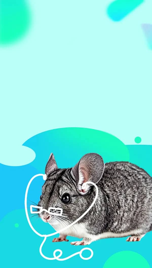 Портрет человека