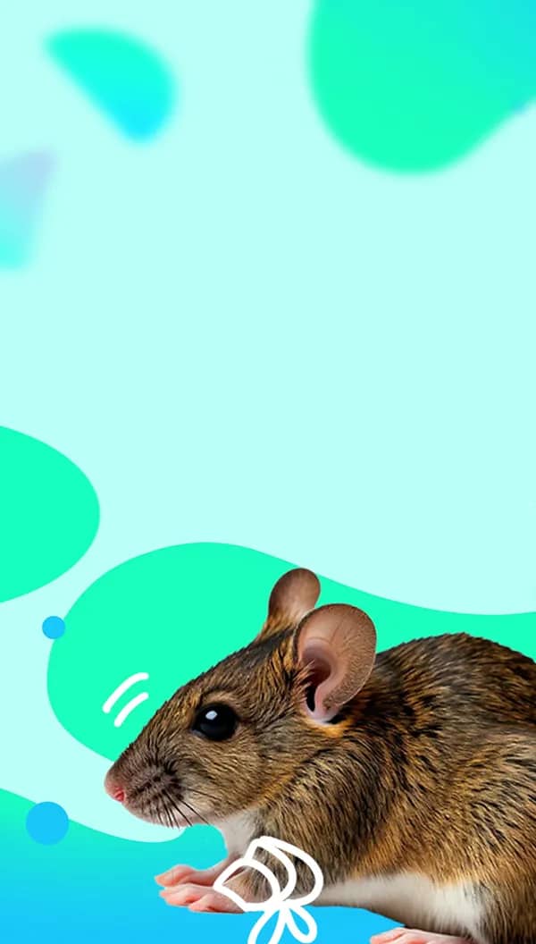 Портрет человека