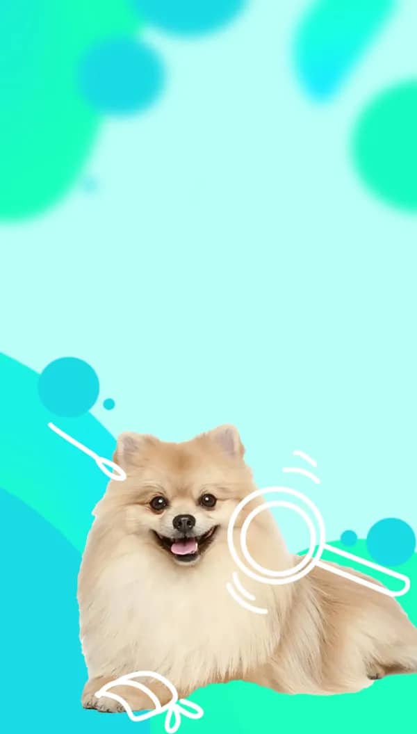 Портрет человека