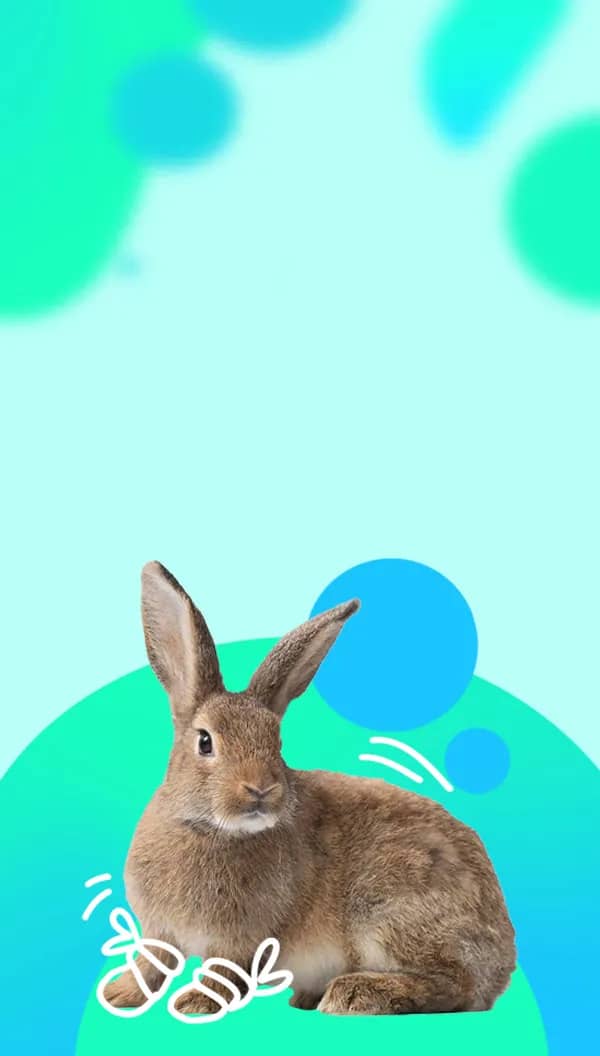 Портрет человека