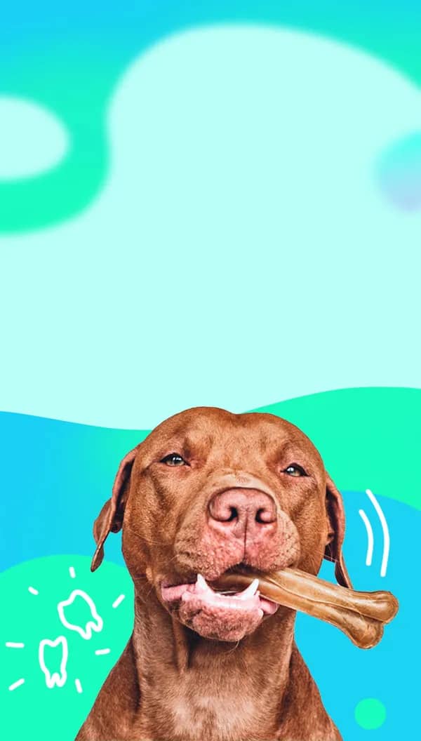 Портрет человека