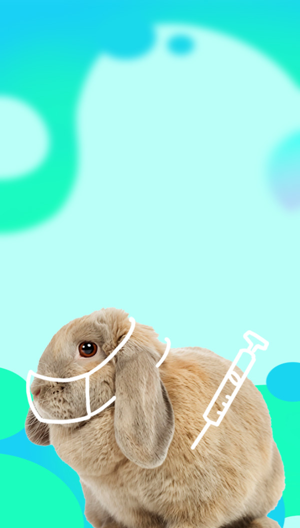 Портрет человека