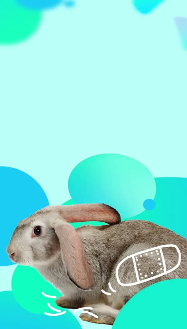 Портрет человека