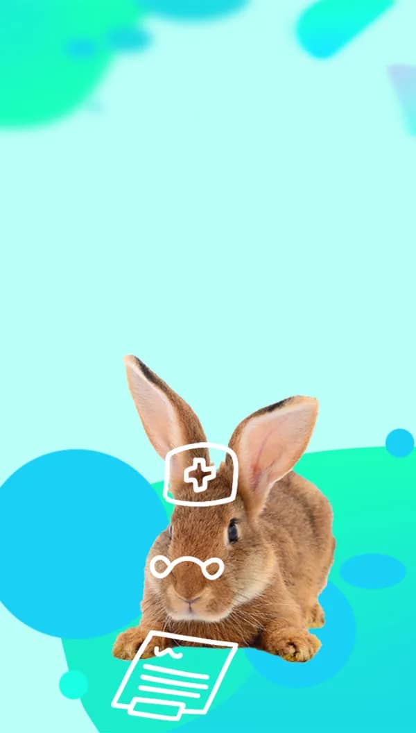 Портрет человека