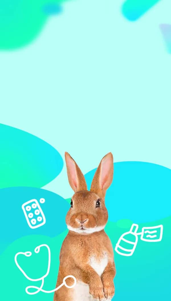 Портрет человека