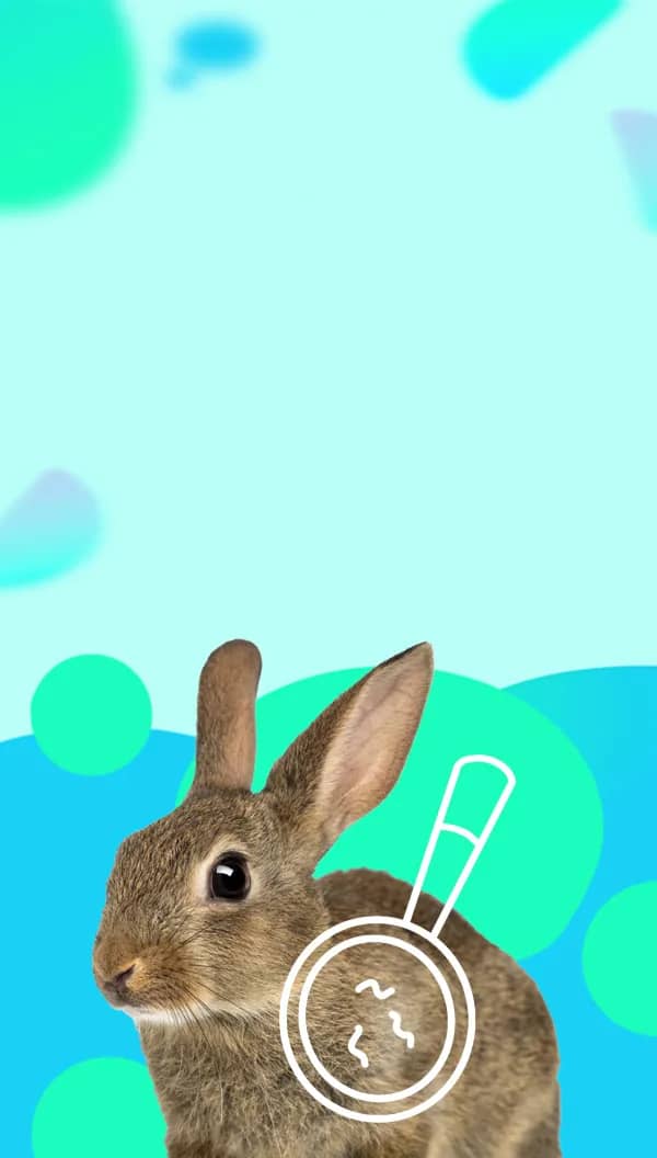 Портрет человека