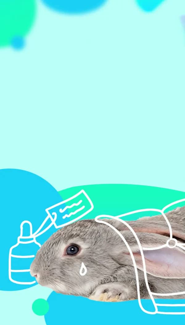 Портрет человека