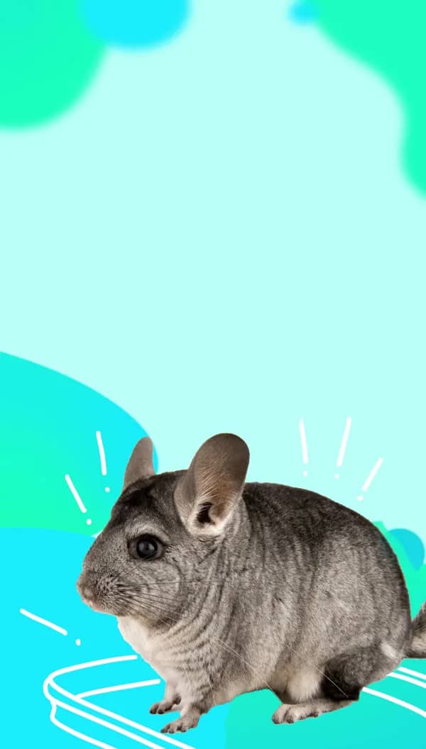 Портрет человека