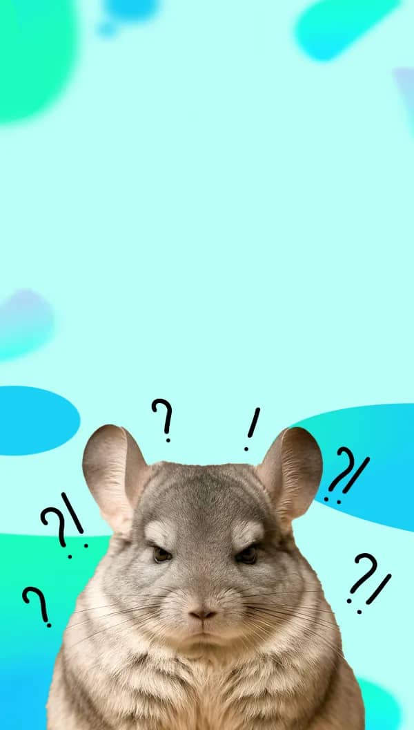 Портрет человека