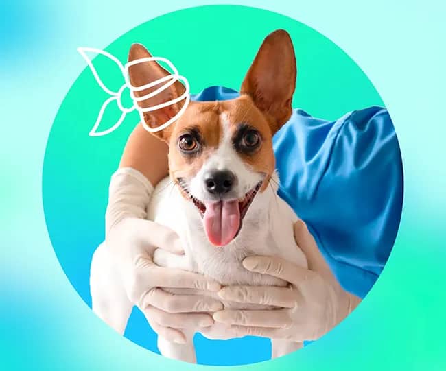 Портрет человека