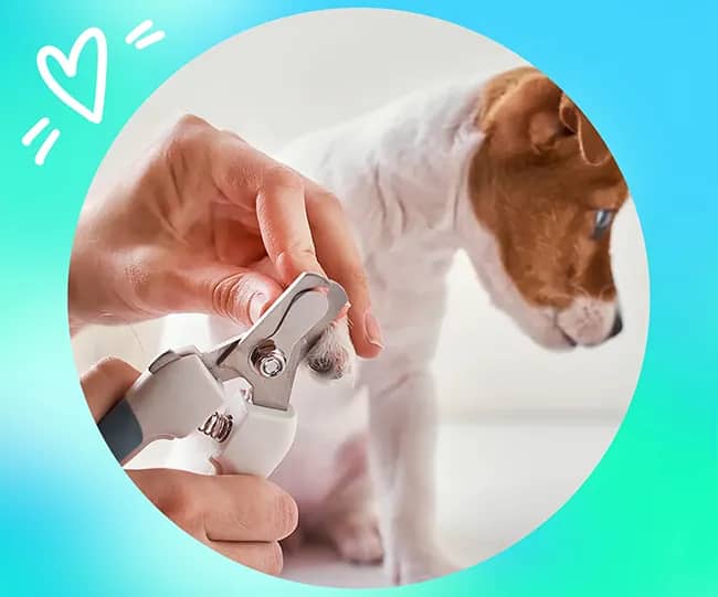 Портрет человека