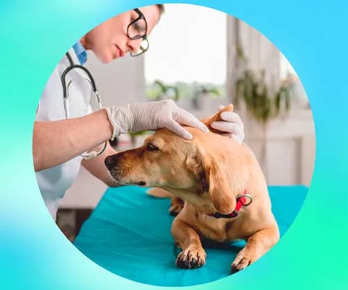 Портрет человека