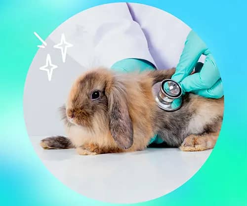 Портрет человека