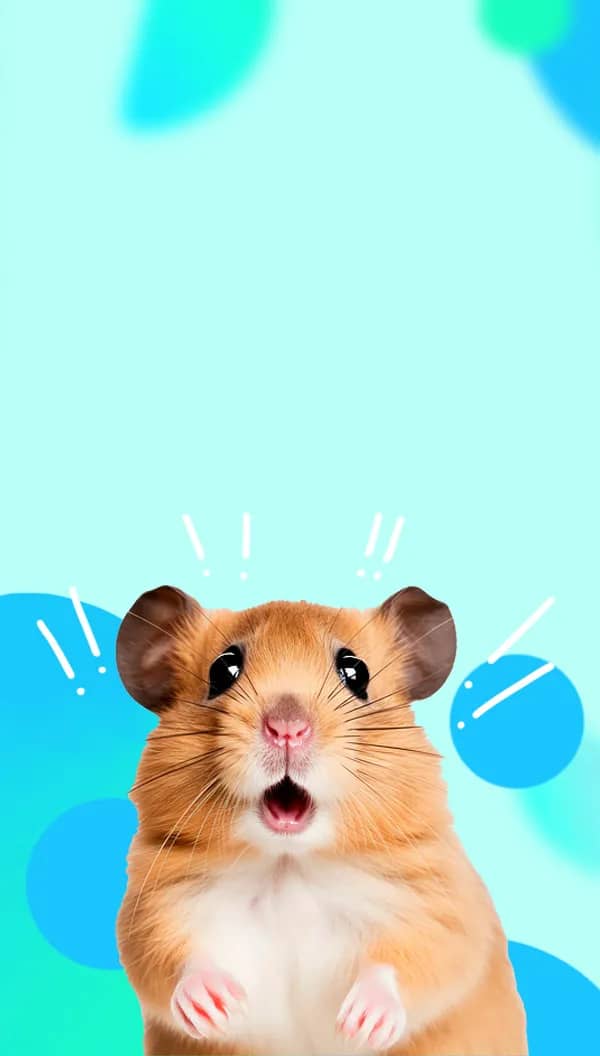 Портрет человека