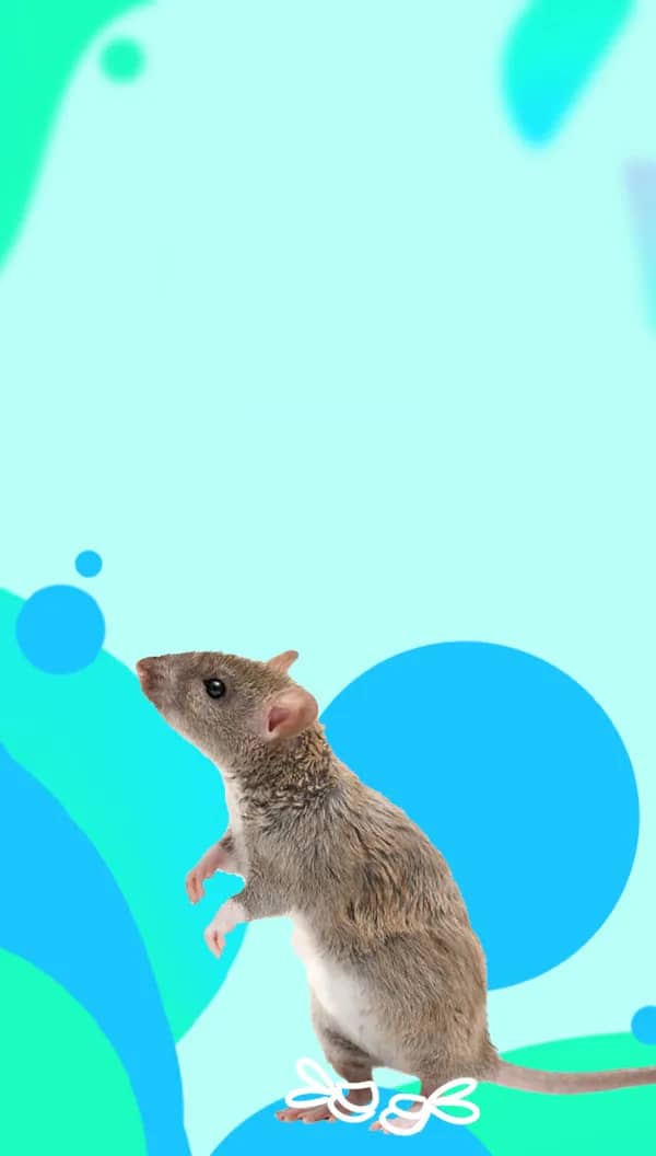 Портрет человека