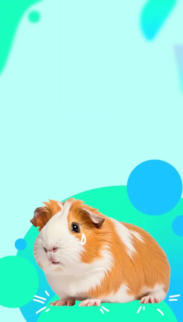 Портрет человека