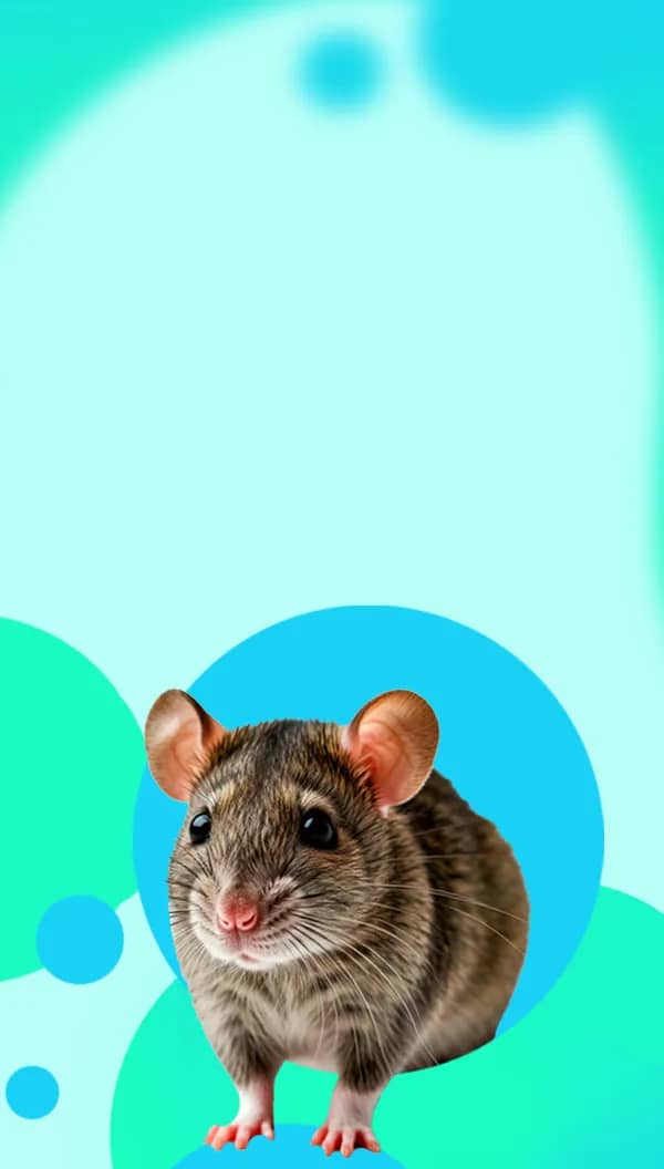 Портрет человека