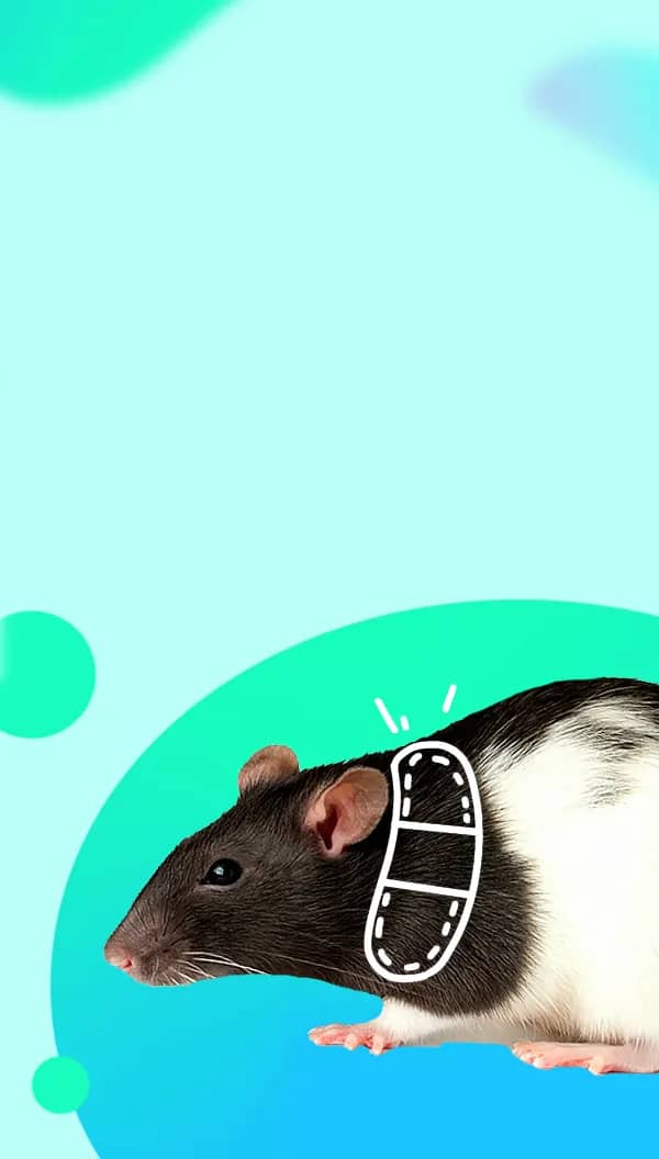 Портрет человека