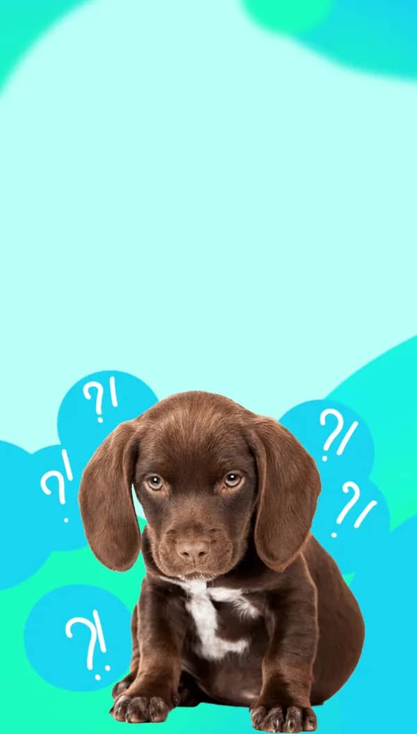 Портрет человека