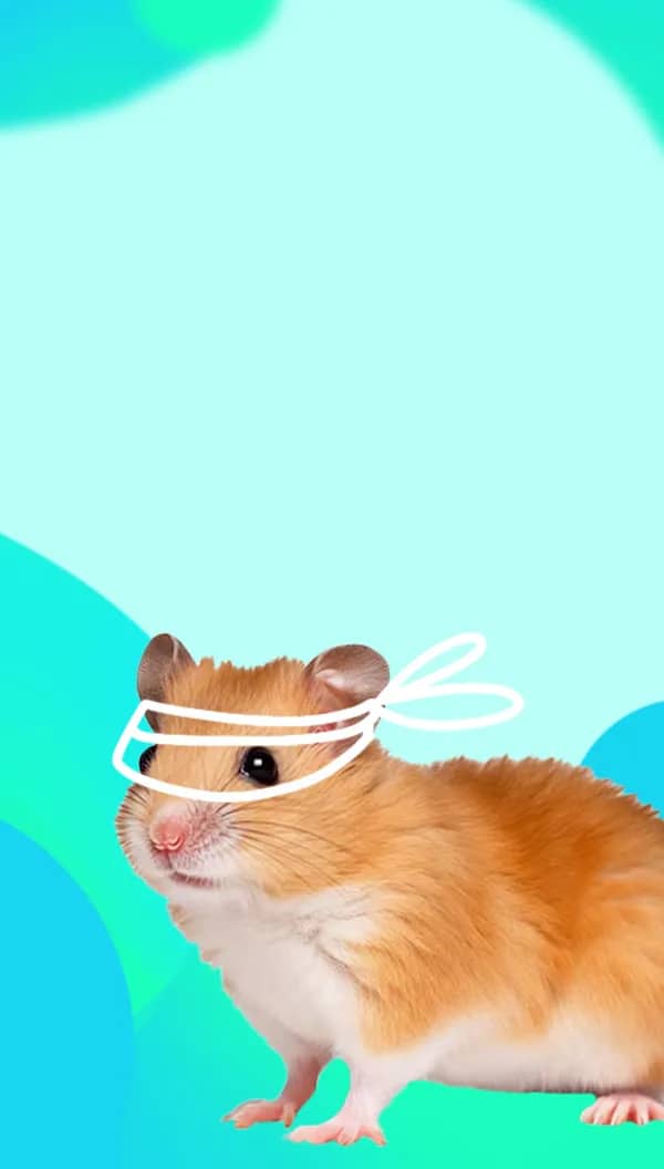 Портрет человека