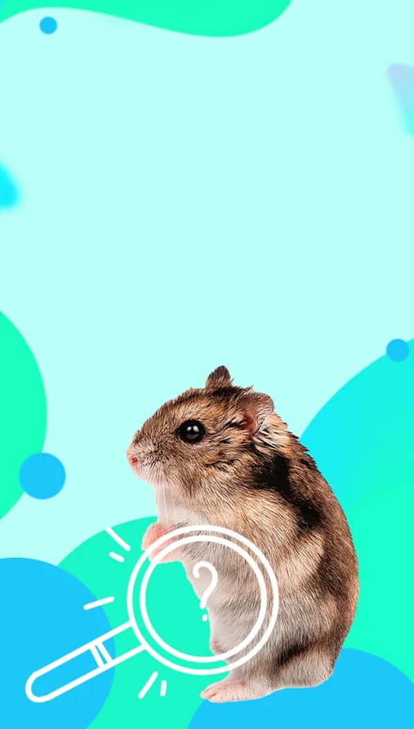 Портрет человека