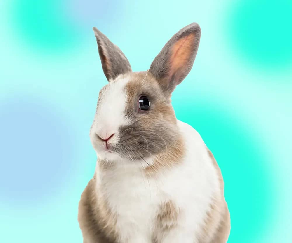 Портрет человека