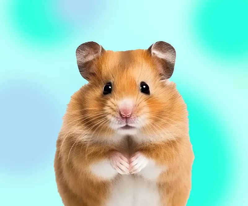 Портрет человека