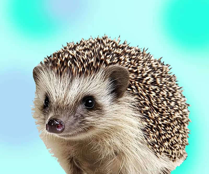 Портрет человека