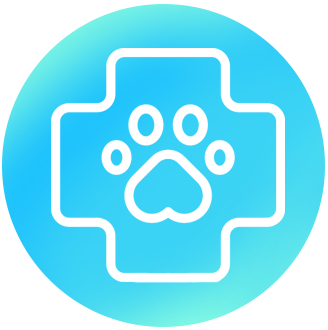 Портрет человека